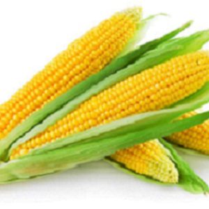 Кукурудза / Кукуруза